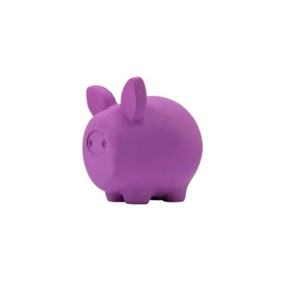 Latex dog toy
