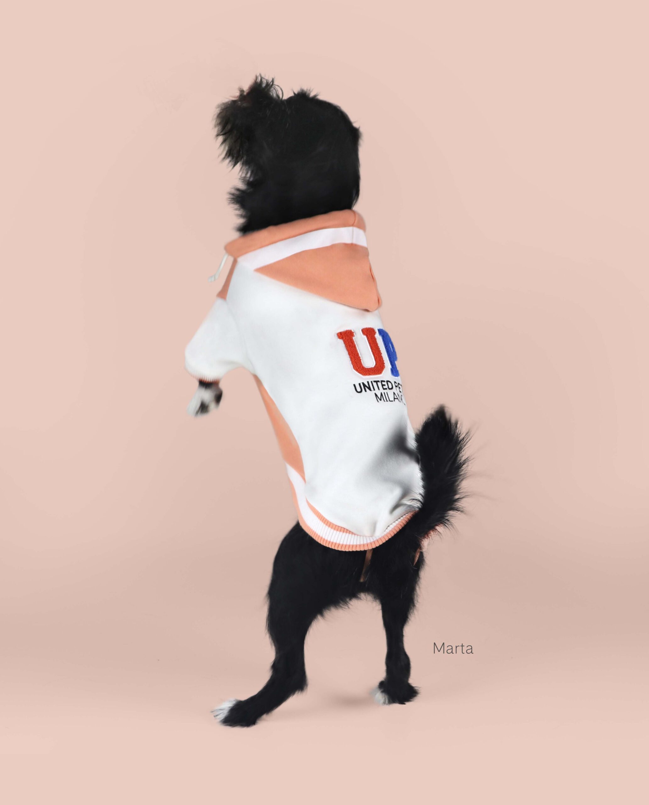 GPBU22ABI_04