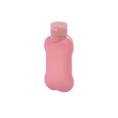 Portable bottle