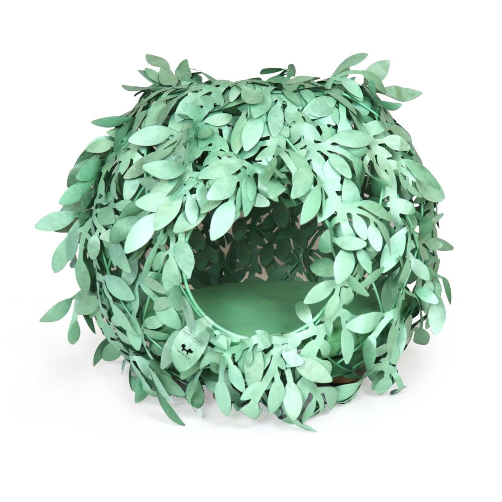 Cat Bush