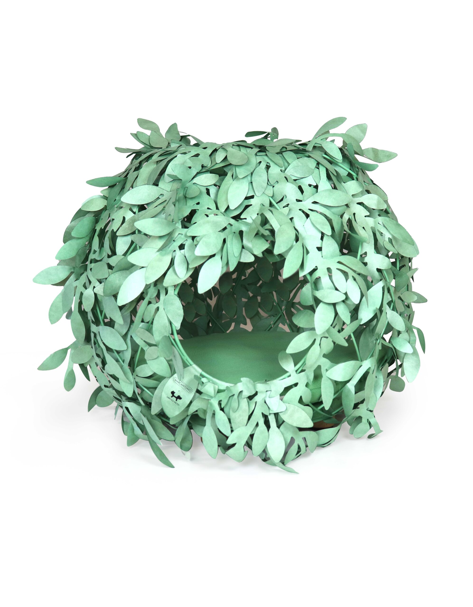 Cat Bush