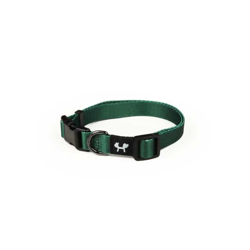 Complete Me - collar