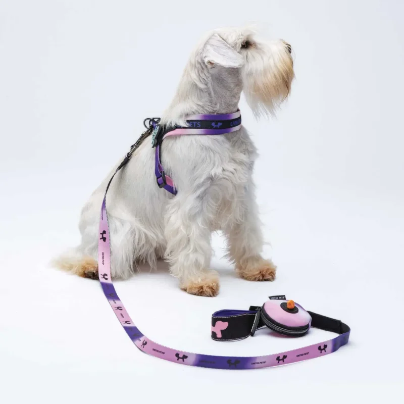 Set guinzaglieria Complete Me con pettorina e collare per cani