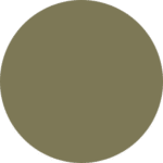 Verde Cactus