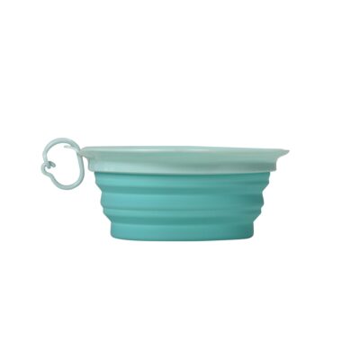 Travel bowl