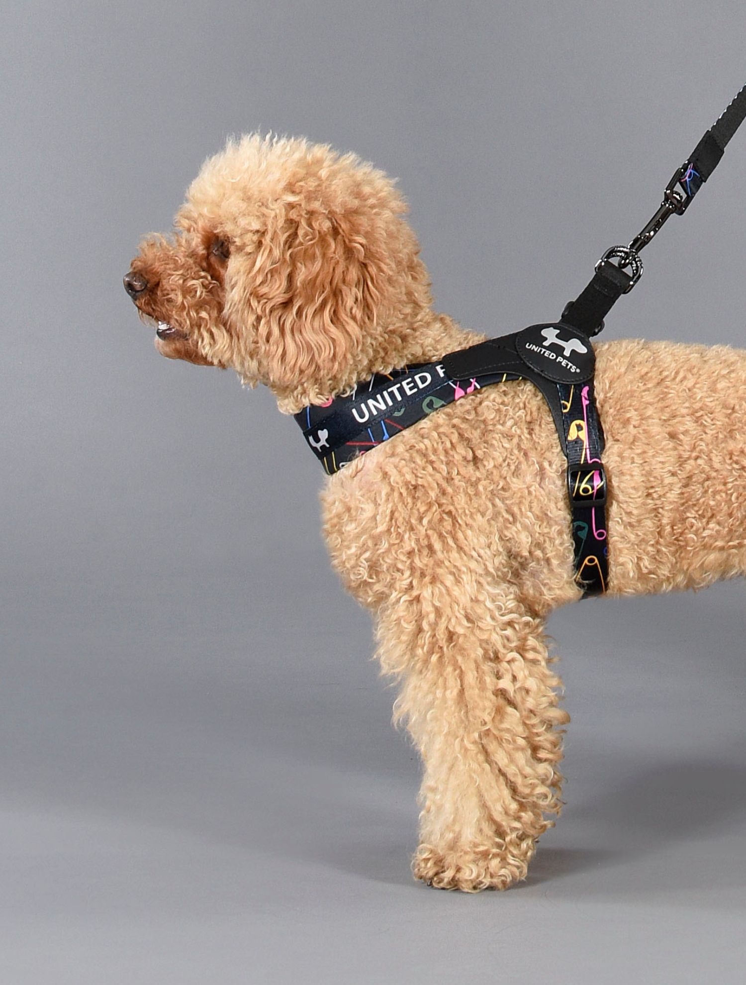 xr:d:DAE7IYCJngM:356,j:813292292267506912,t:23060607