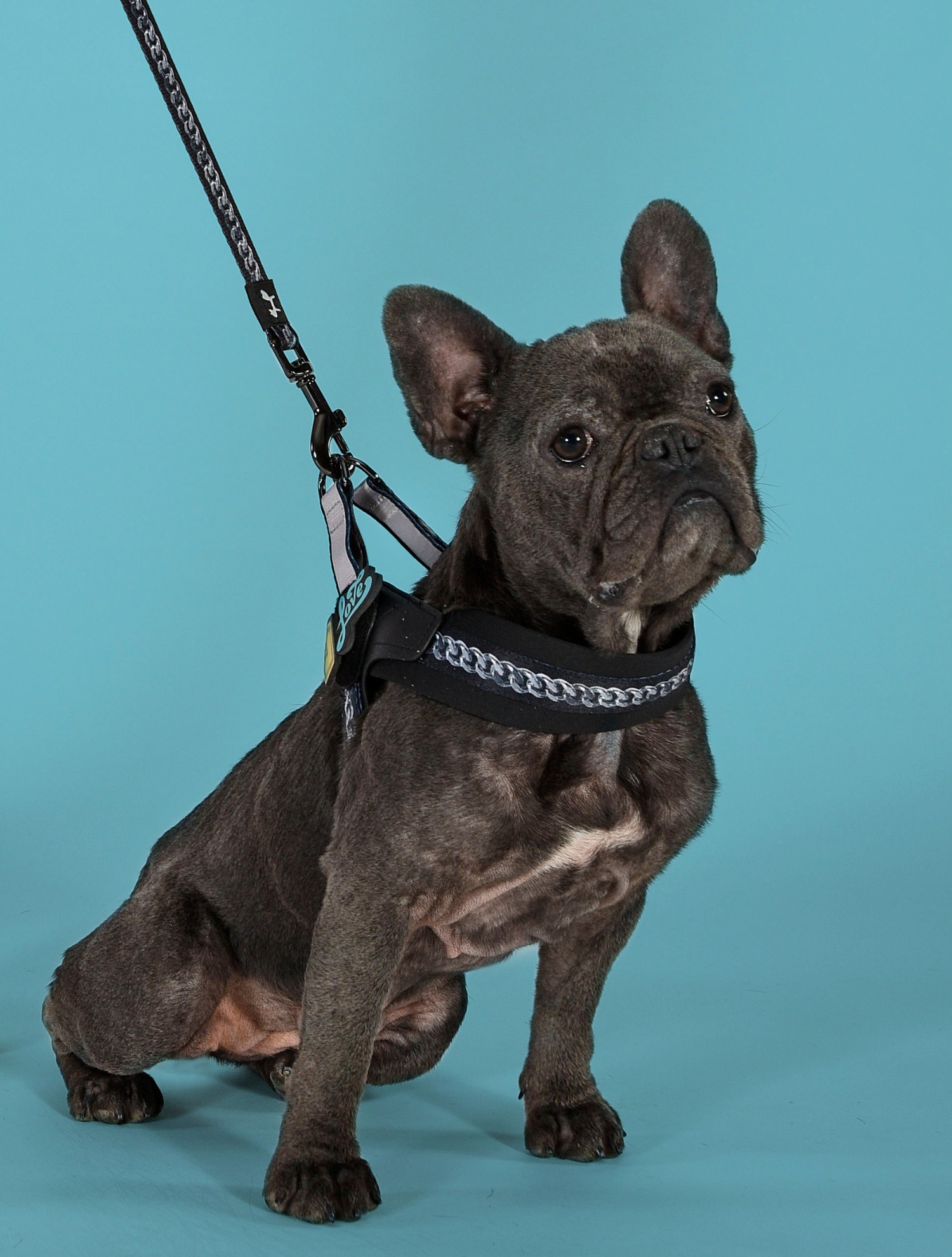 xr:d:DAE7IYCJngM:361,j:2326501774719552936,t:23060609