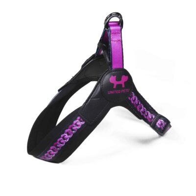pettorina fast fit