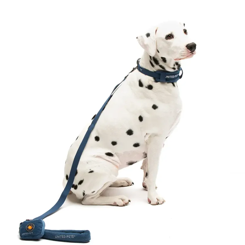 Set guinzaglieria Citylife con collare soft per cani