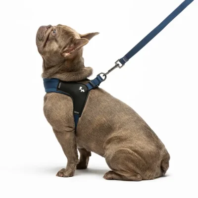 Harness set