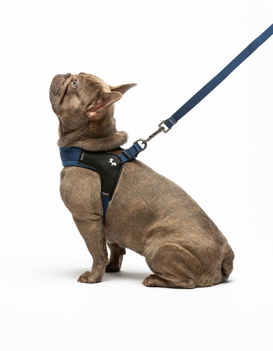PETTORINA FAST FIT KIT