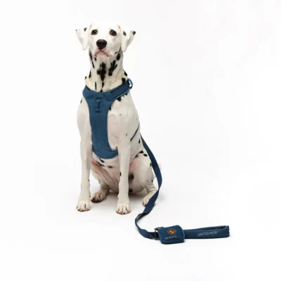 Harness set
