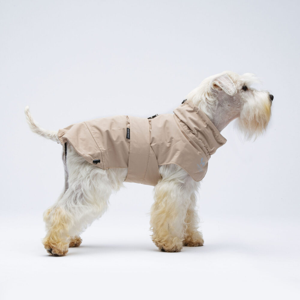 Easy Rain - New Collection