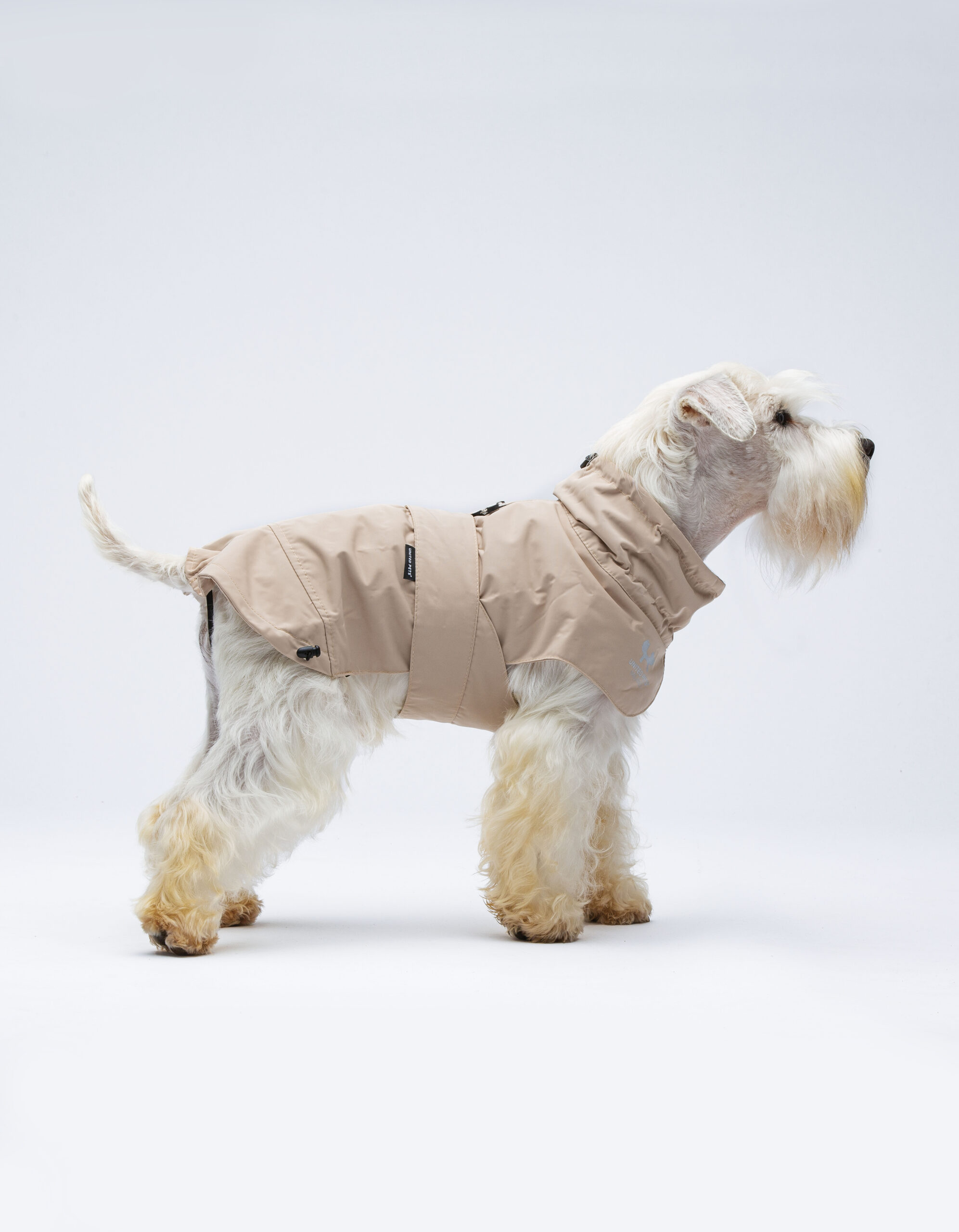 Easy Rain - New Collection