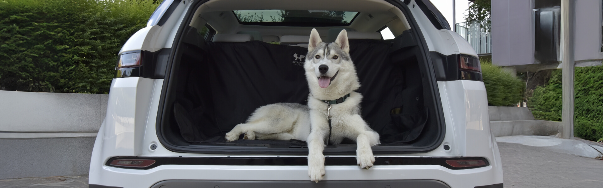banner_cane_viaggioetrasporto