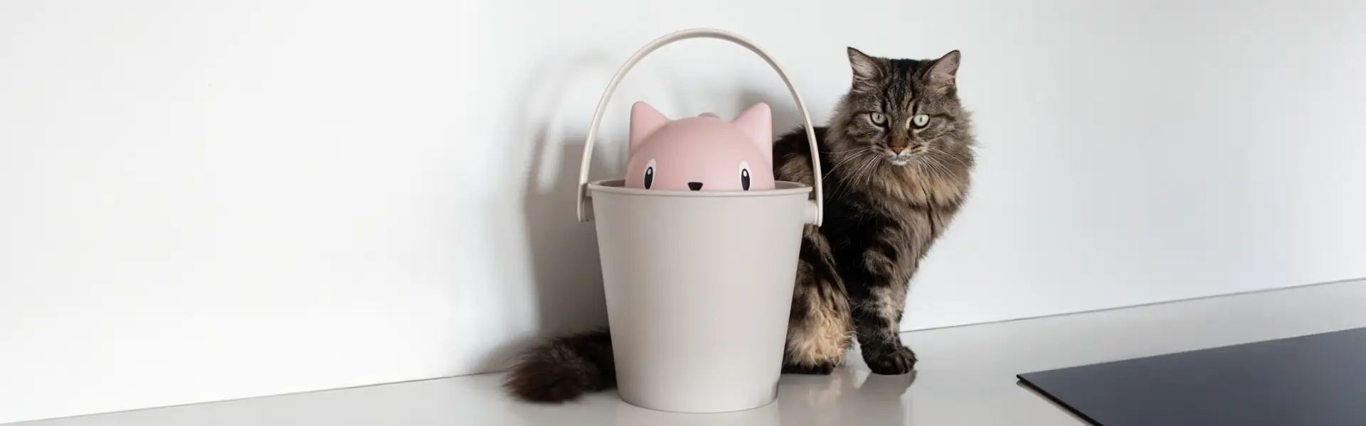 cat_home_banners_accessories