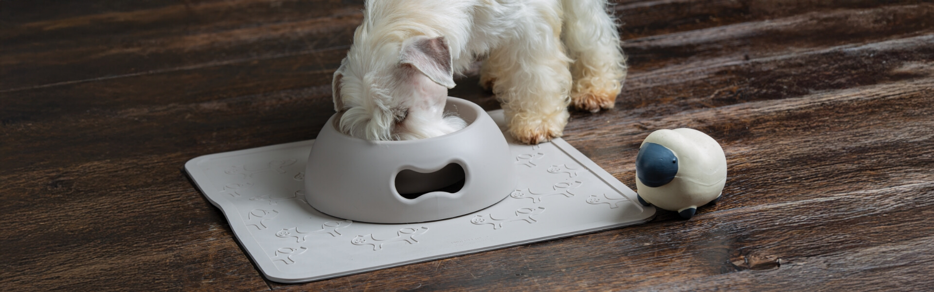 cane_casa_ciotoleeaccessori