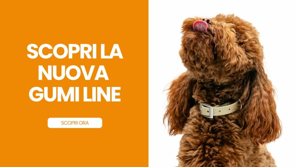 GUINZAGLIERIA COLLARE E GUINZAGLI PER CANI UNITED PETS