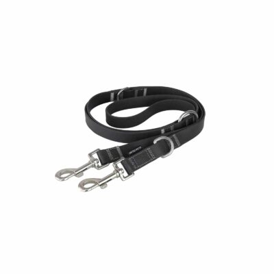 Multifunction training leash