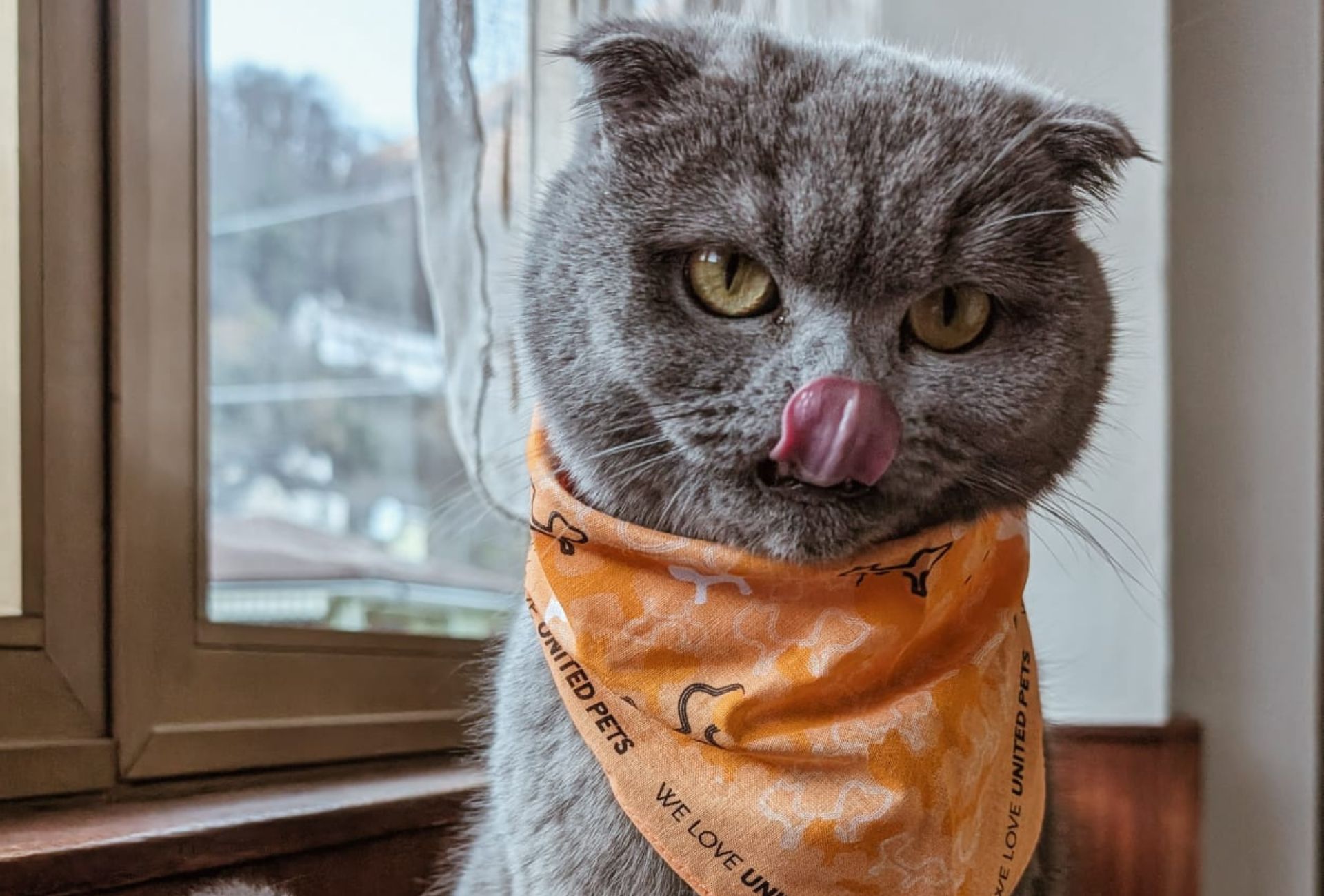 Progetto senza titolo - 2026-03-11T103949.610