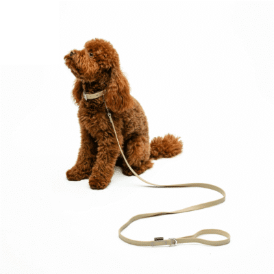 Gumi Dog Collar and Leash Set