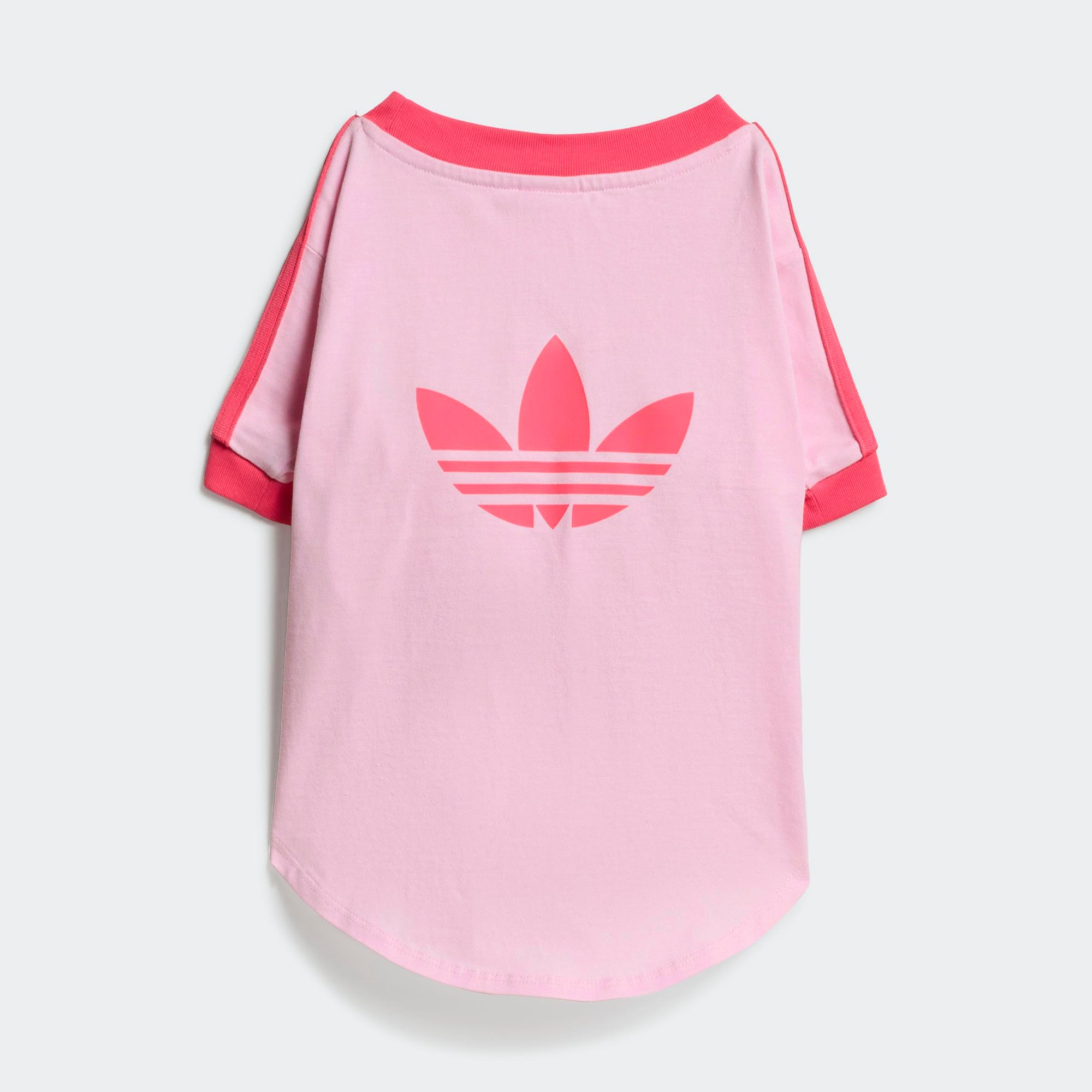 t-shirt adidas per cane gatto