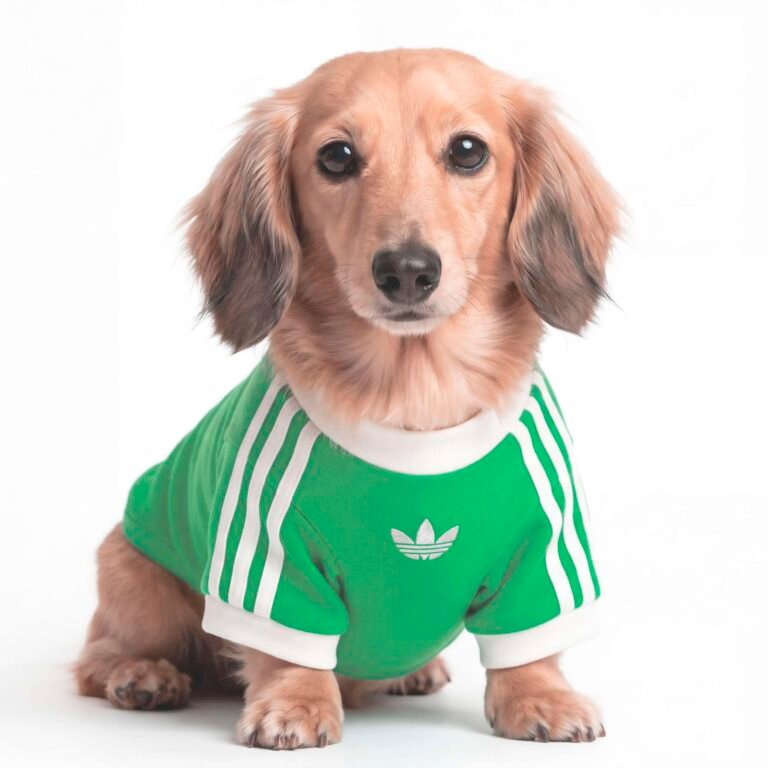 T-shirt per animali