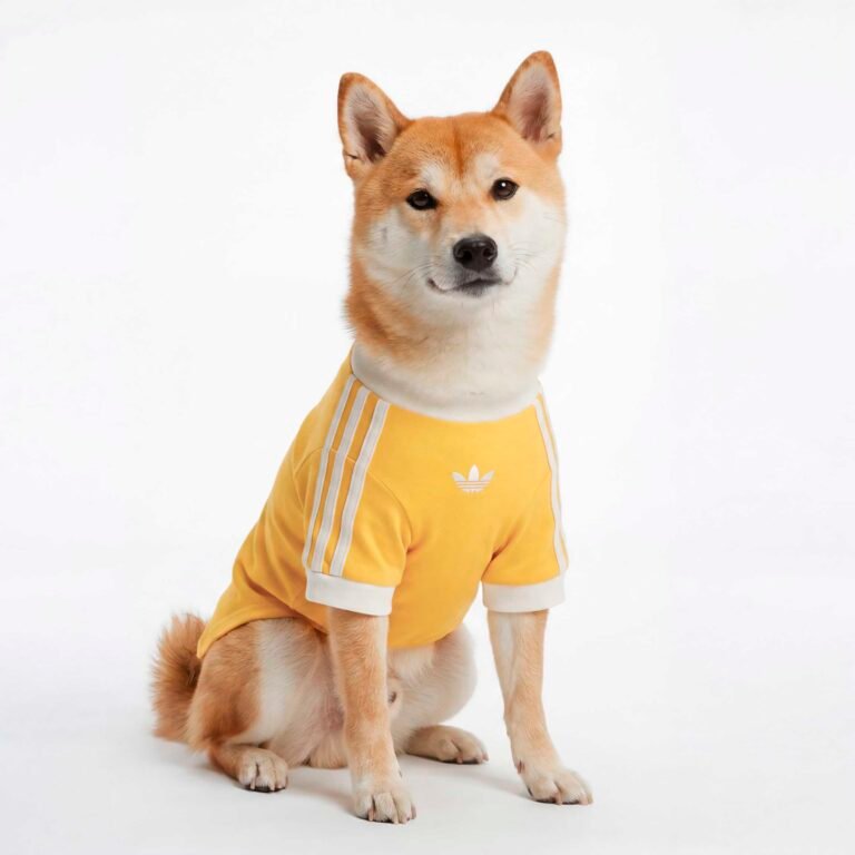 T-shirt per animali
