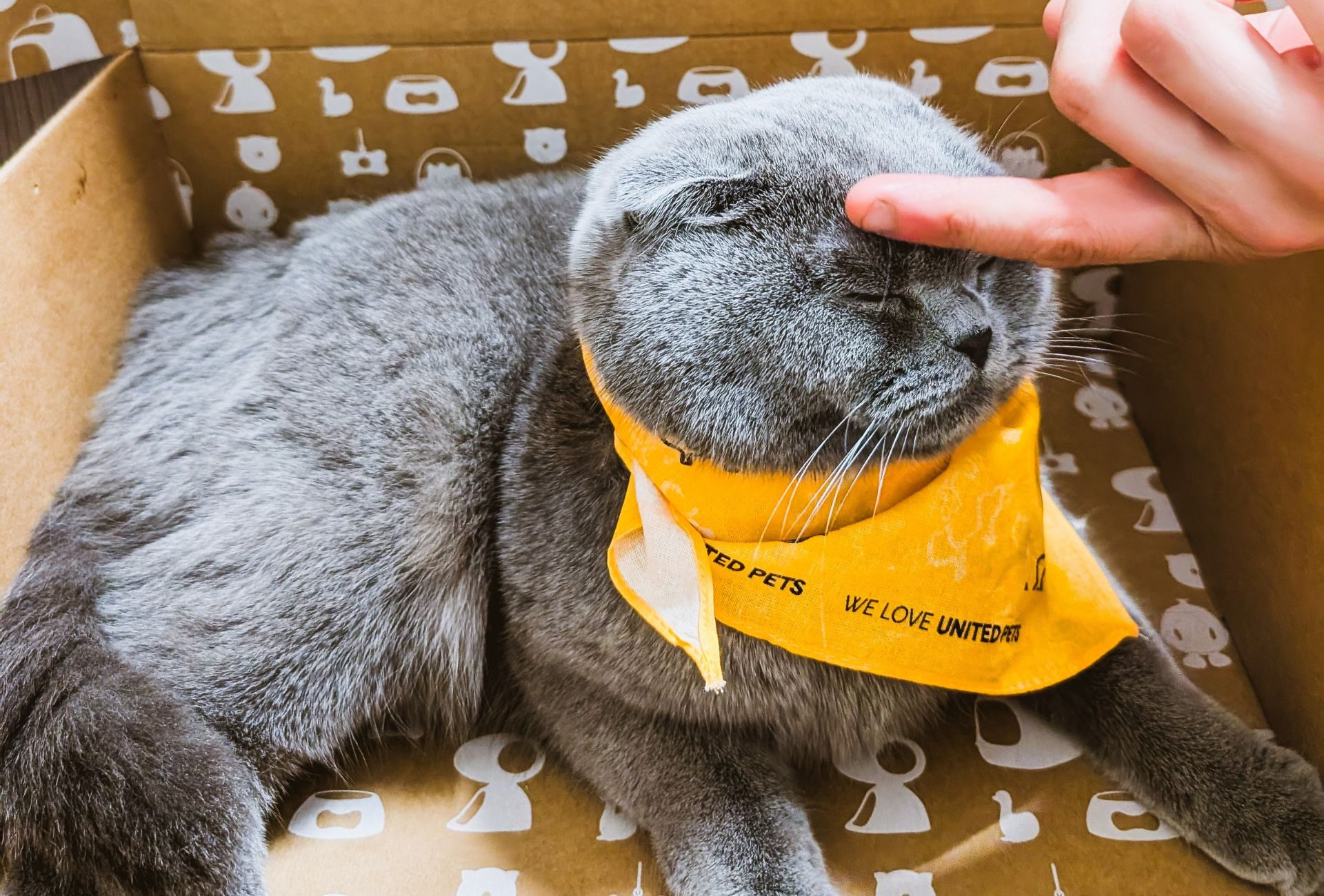 Progetto senza titolo - 2026-03-11T103927.334